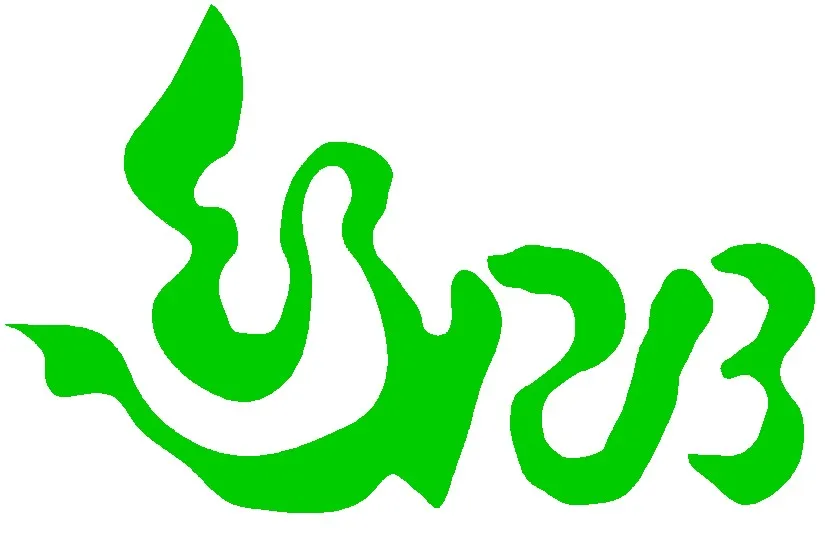 29